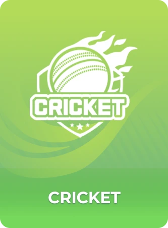 Cricket game artwork